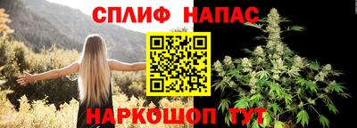 МДПВ Моздок