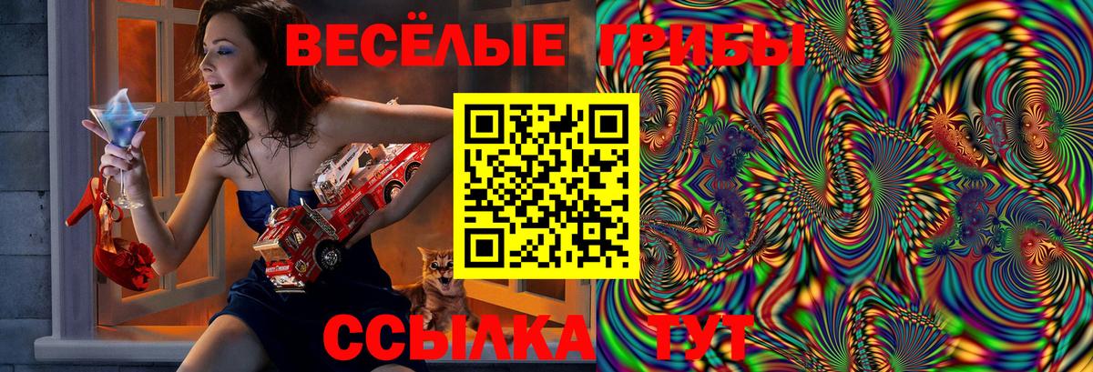 Галлюциногенные грибы ЛСД  Вход с VPN  Шарыпово  Псилоцибиновые грибы мицелий 
