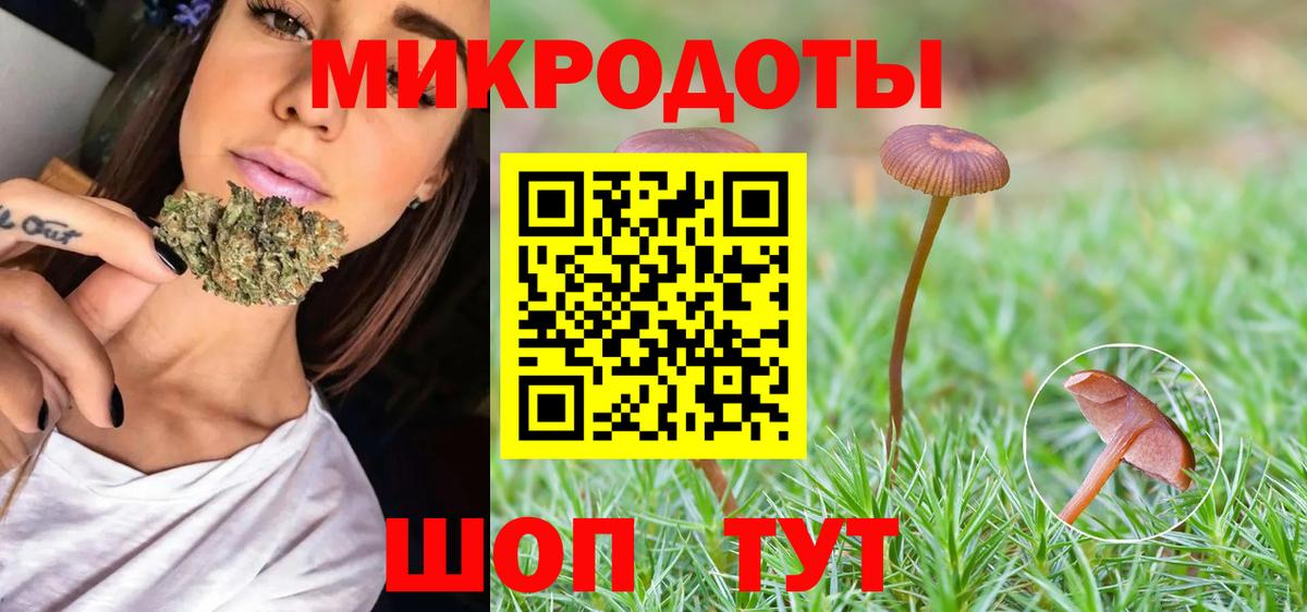Псилоцибиновые грибы Psilocybe Шарыпово